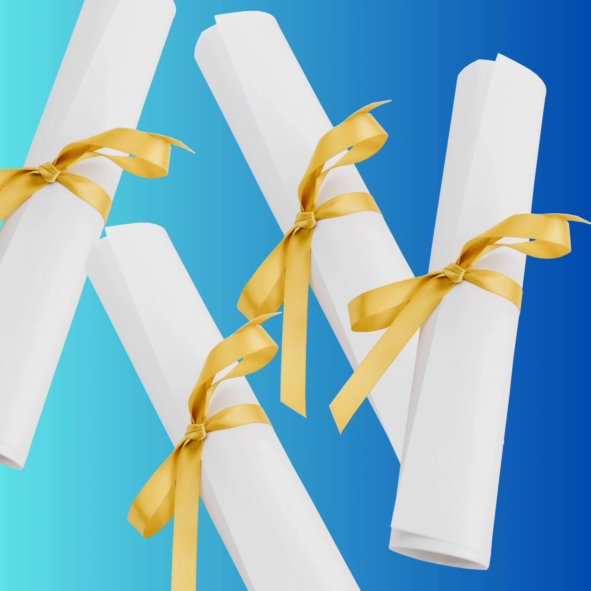 Programs and Degrees page